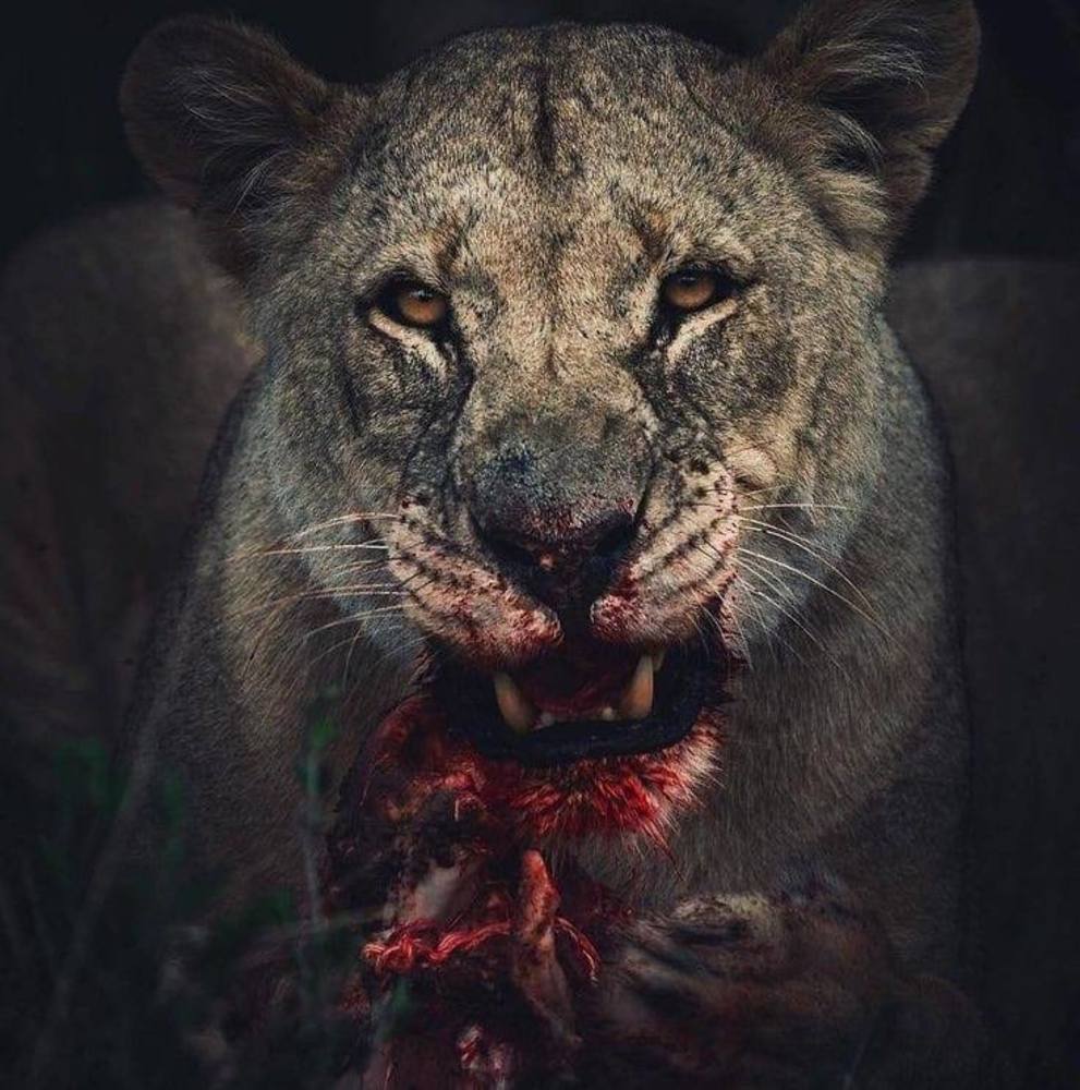 Meet your Posher, Sherise